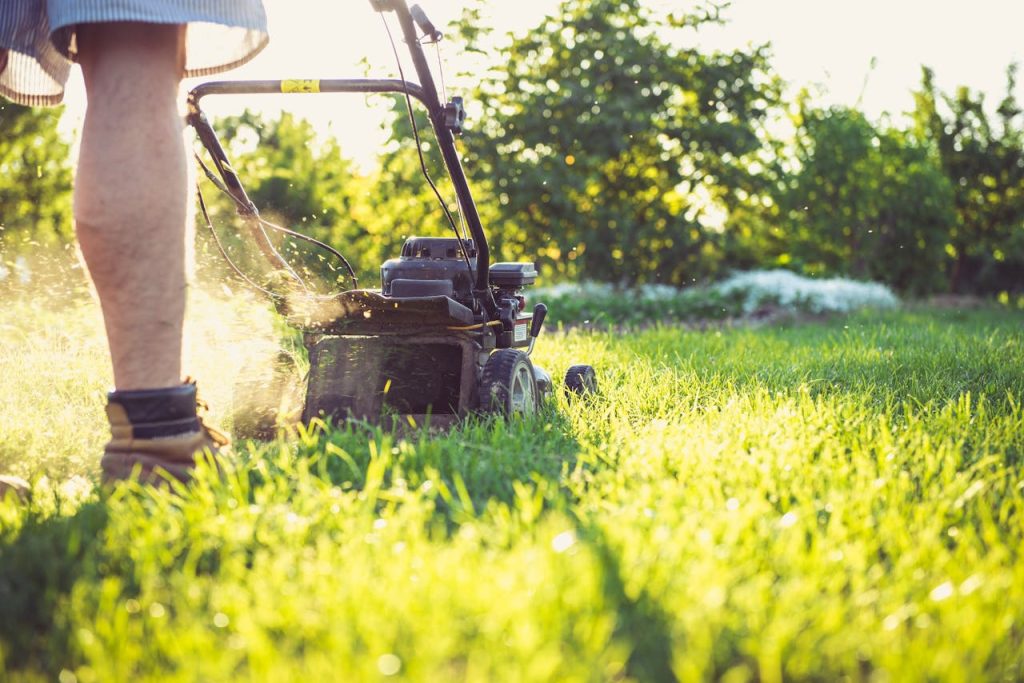 A person operates a lawnmower on a sunny day, trimming grass in a garden setting.