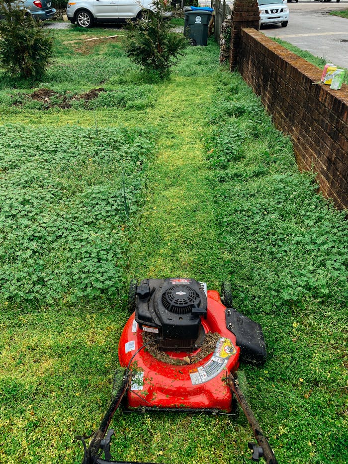 Red lawn mower cutting grass in a green garden with visible cut path. Ideal for gardening themes.